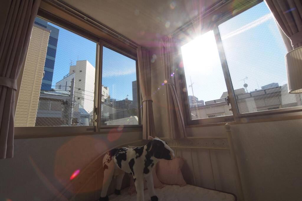 【Great Location!】Near Shinjuku Sta./Girls #302 Appartement Tokio Buitenkant foto